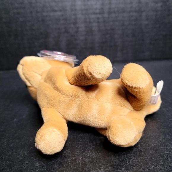 TY Beanie Babies Tiny The Chihuahua - Picture 6 of 11